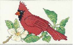 YEESAM ART Cross Stitch Kits for Adults Beginner - Bird Green House - 14  Counted Embroidery Set Needlework DIY Art Crafts & Sewing Needlepoints Kit